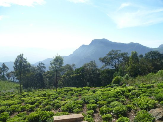 Coonoor